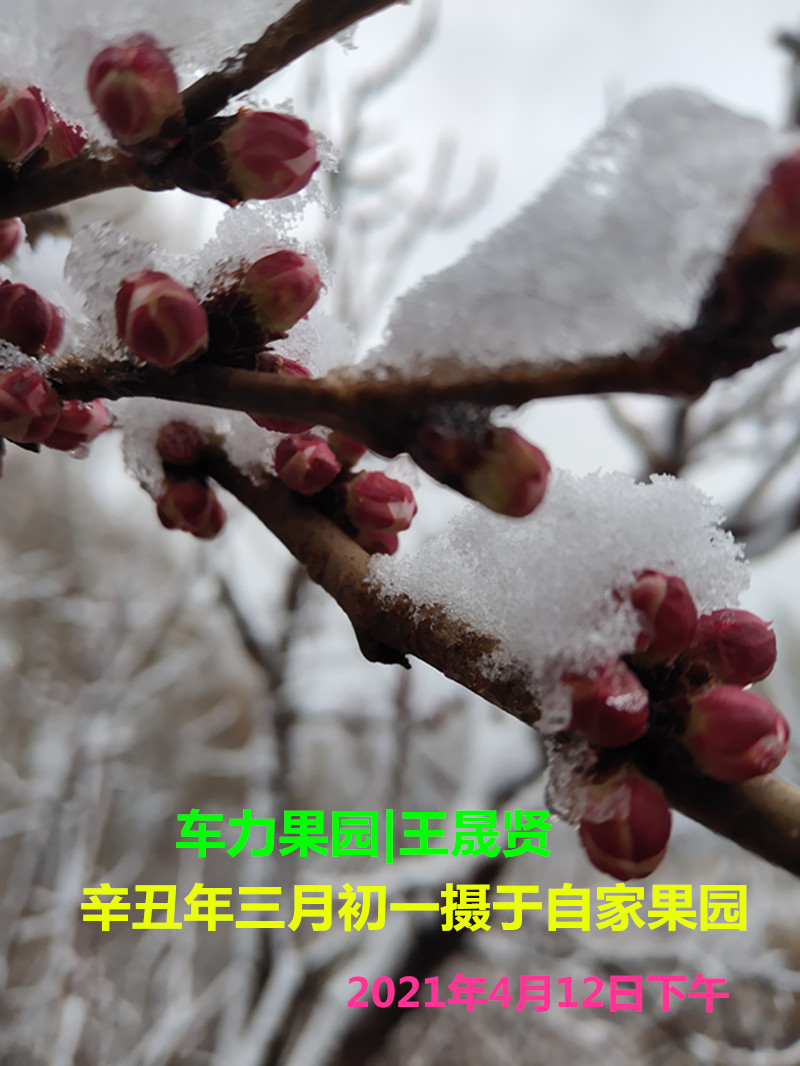 QQͼƬ20210413084351_����.jpg