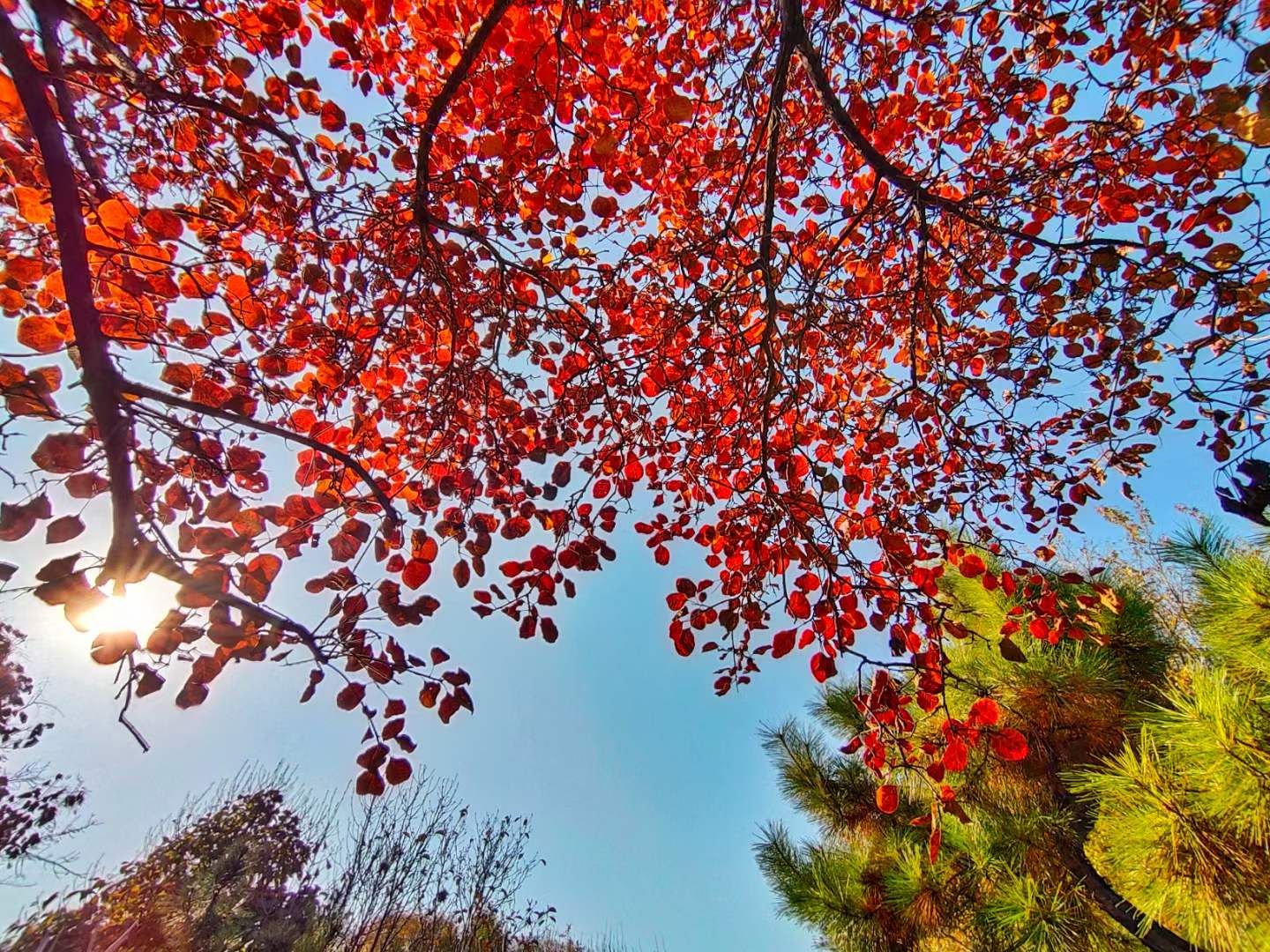 ΢��ͼƬ_20211114114056.jpg