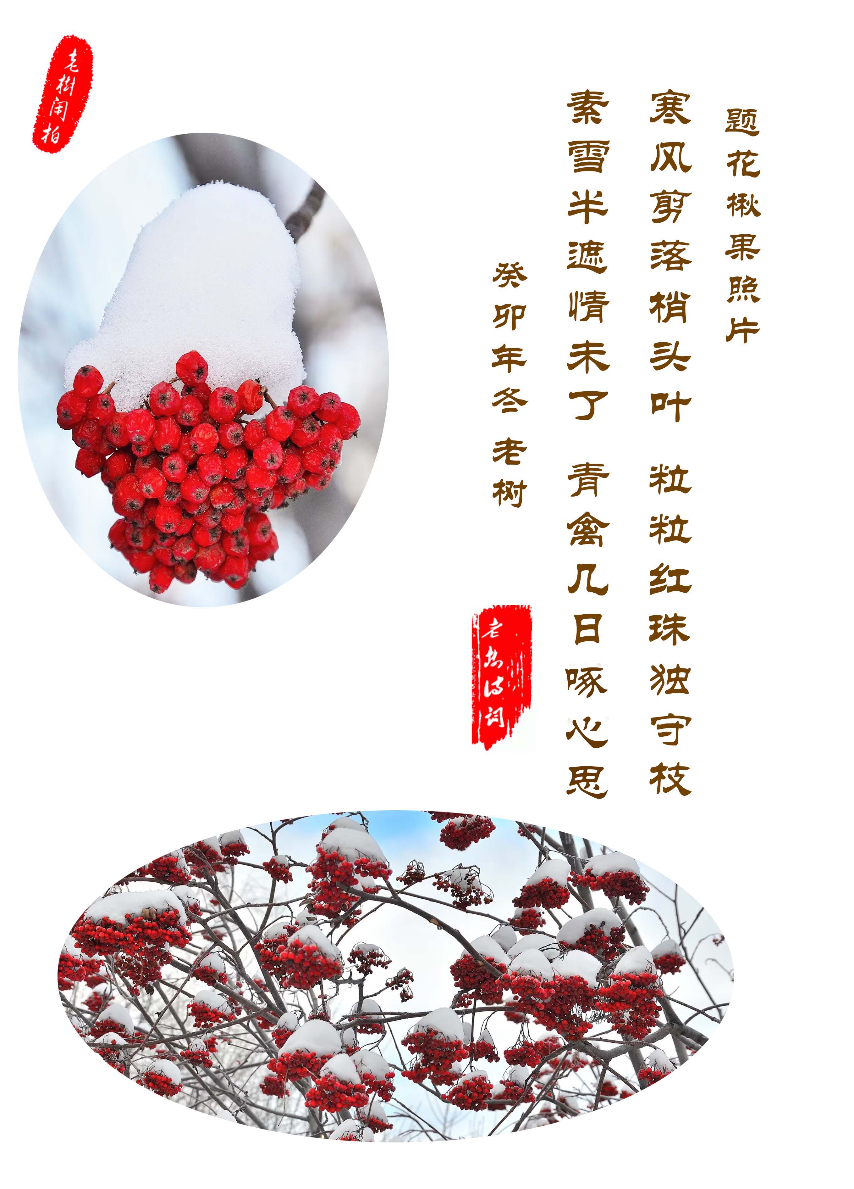 �߾��⻨鱹���Ƭ����.jpg