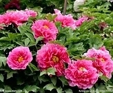 062446ul191hklz1x691o7.jpg.thumb.jpg