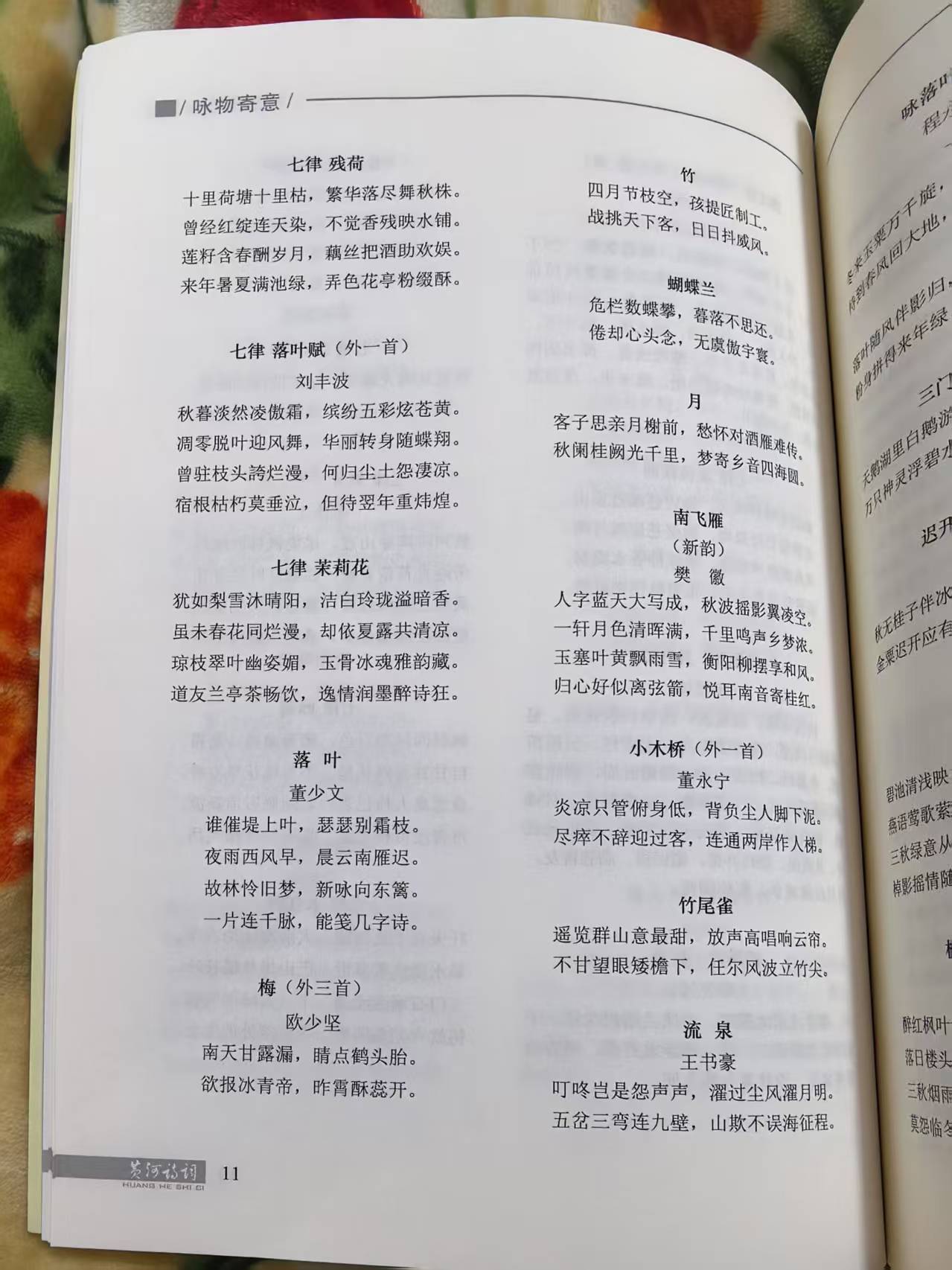 06.jpg