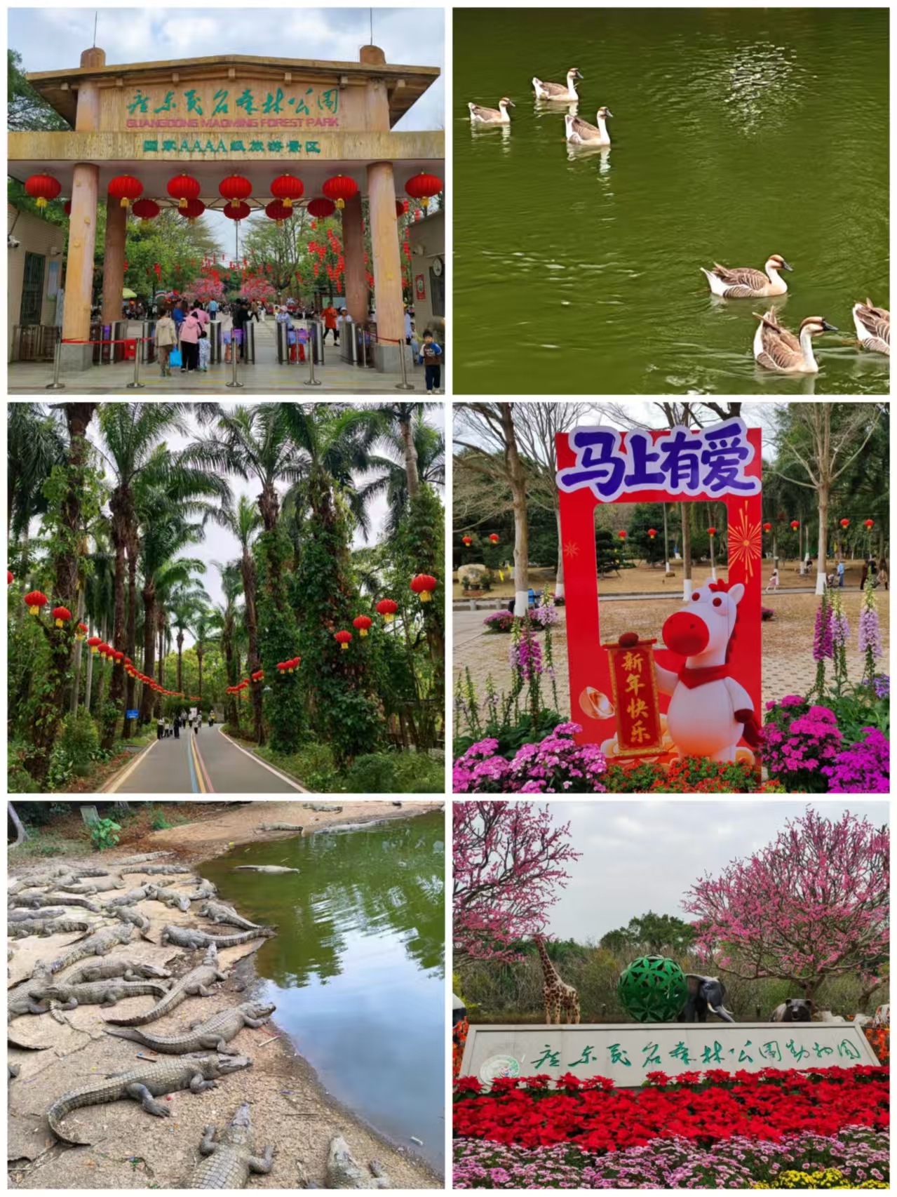 ca5f70377042cc3d37deafb1b48d304d.jpg