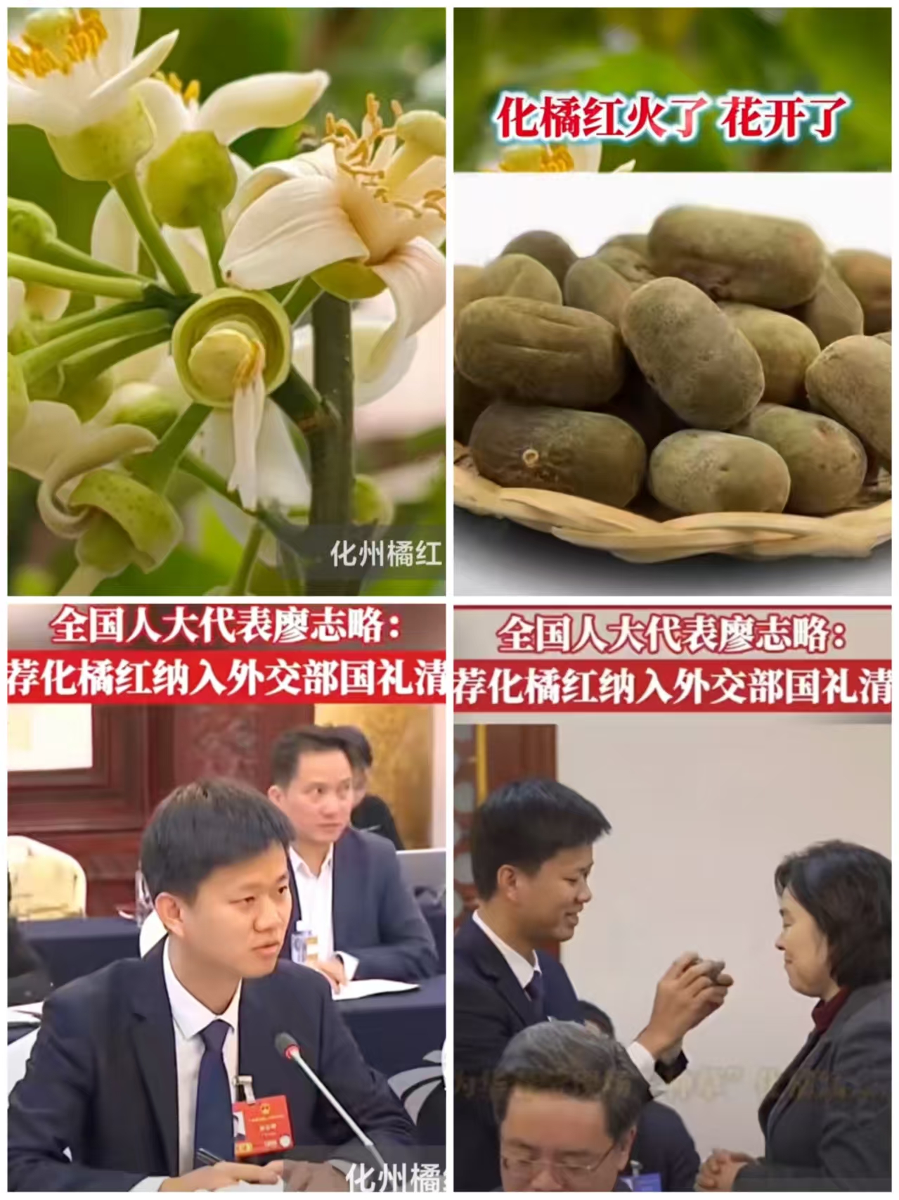 cd143d0f6872390935fcb0ea940928b9.jpg
