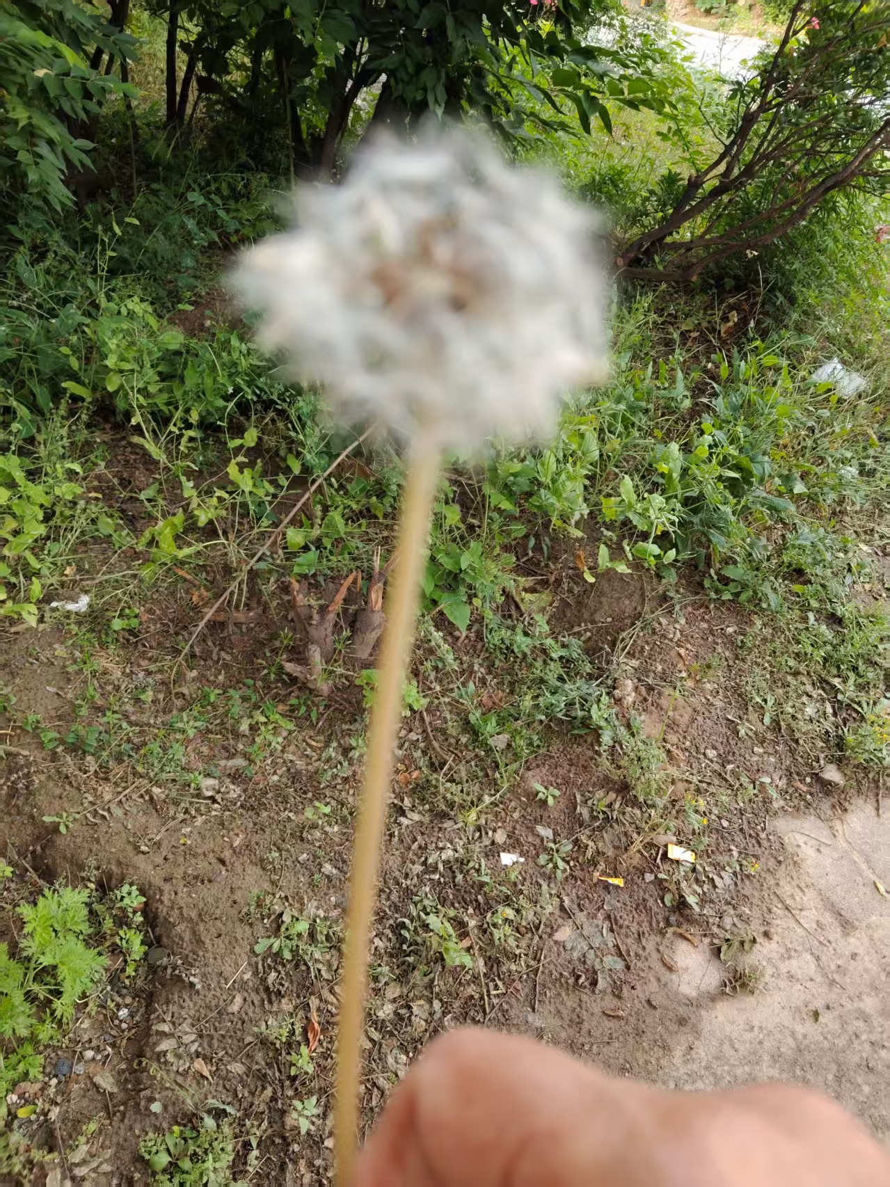 94c7ecd3d7ae1e8a15d691b370e0b7a.jpg